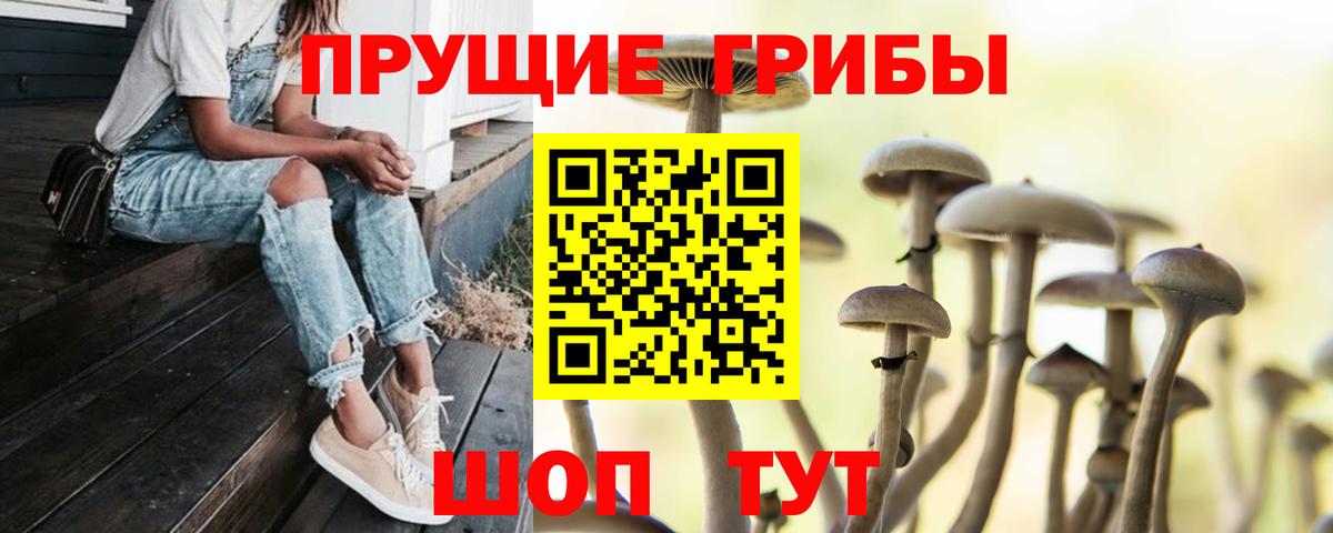 Псилоцибиновые грибы Magic Shrooms Вышний Волочёк