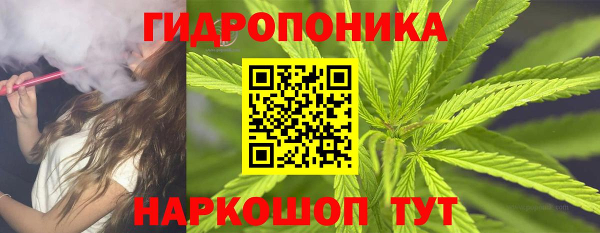 Конопля план Вышний Волочёк